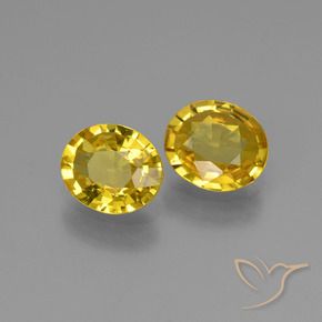 Gemas de Zafiro Amarillo miel claro natural de 1.30 ct, Ovalada, VVS-VS