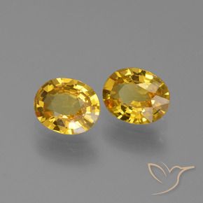 Gemas de Zafiro Dorado natural de 1.36 ct, Ovalada, VVS-VS