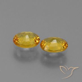 Gemas de Zafiro Dorado natural de 1.36 ct, Ovalada, VVS-VS