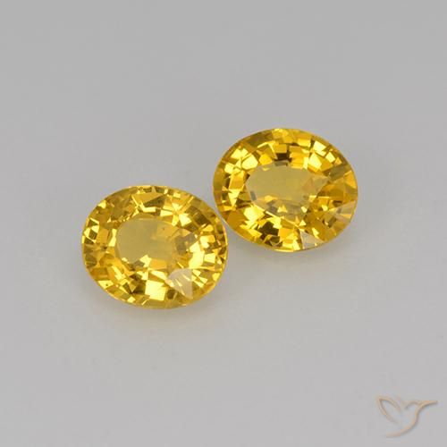 Gemas de Zafiro Dorado natural de 1.38 ct, Ovalada, VS