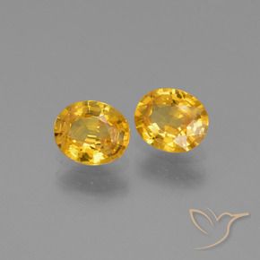 Gemas de Zafiro Dorado oscuro natural de 1.44 ct, Ovalada, VS