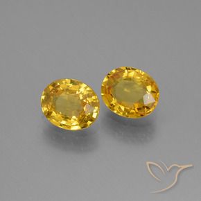 Gemas de Zafiro Dorado natural de 1.51 ct, Ovalada, VS
