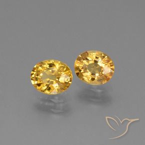 Gemas de Zafiro Dorado oscuro natural de 1.49 ct, Ovalada, VS