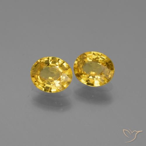 Gemas de Zafiro Amarillo medio natural de 1.28 ct, Ovalada, VS