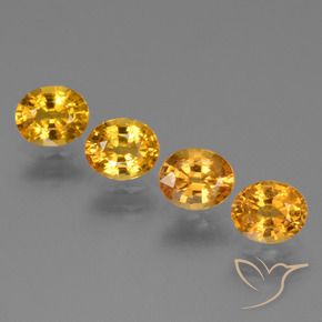 Gemas de Zafiro Dorado naranja oscuro natural de 2.91 ct, Ovalada, VS