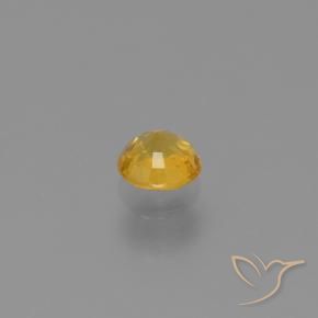 Zafiro Dorado natural de 0.64 ct, Redondo, VVS-VS