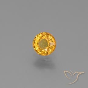 Zafiro Dorado oscuro natural de 0.62 ct, Redondo, VVS