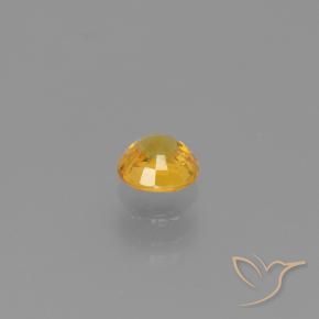 Zafiro Dorado oscuro natural de 0.62 ct, Redondo, VVS
