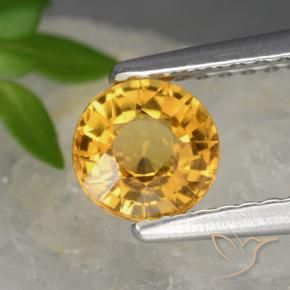 Zafiro Dorado oscuro natural de 0.83 ct, Redondo, VVS