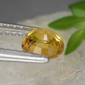 Zafiro Dorado oscuro natural de 0.83 ct, Redondo, VVS