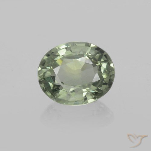 0.77ct Natural Verde bosque Zafiro, Ovalada, VVS-VS