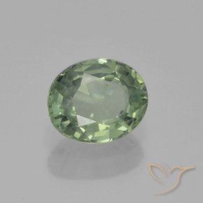 Zafiro Verde bosque claro natural de 0.88 ct, Ovalada, VS