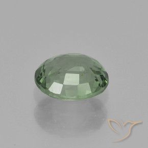 Zafiro Verde bosque claro natural de 0.88 ct, Ovalada, VS