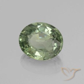 Zafiro Medium Light Green natural de 0.83 ct, Ovalada, VVS-VS