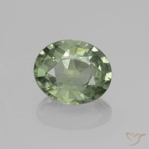 0.81ct Natural Verde bosque Zafiro, Ovalada, VVS-VS