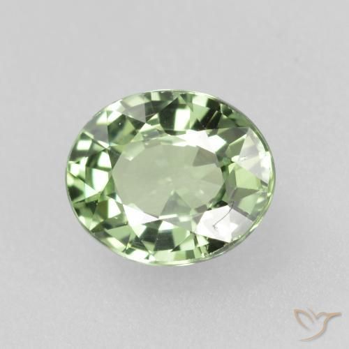 Zafiro Verde bosque claro natural de 0.75 ct, Ovalada, VVS-VS