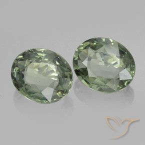 Gemas de Zafiro Verde terroso natural de 1.53 ct, Ovalada, VVS-VS