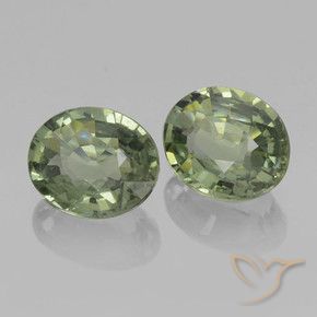 Gemas de Zafiro Verde terroso natural de 1.47 ct, Ovalada, VVS-VS