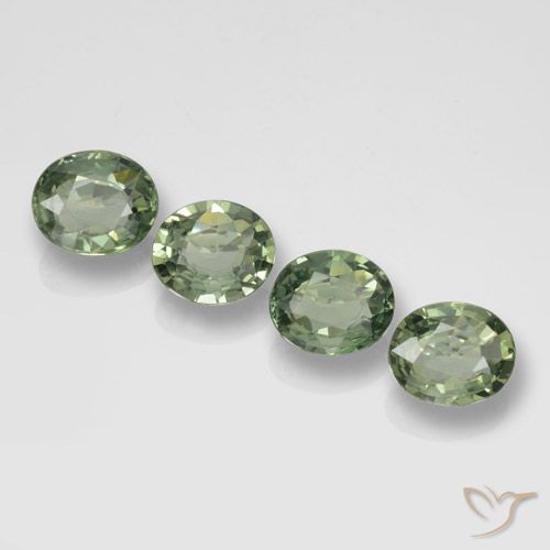 2.98ctw Natural Verde bosque Zafiro, Ovalada, VVS