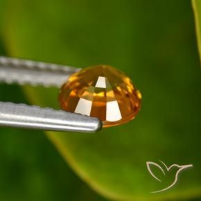 Zafiro Naranja oscuro medio natural de 0.88 ct, Redondo, VVS-VS