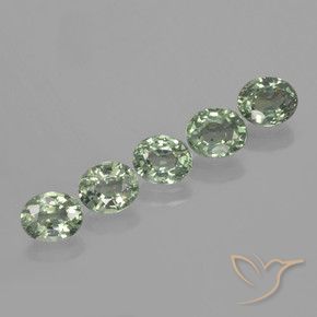 Gemas de Zafiro Verde musgoso natural de 4.20 ct, Ovalada, VVS-VS
