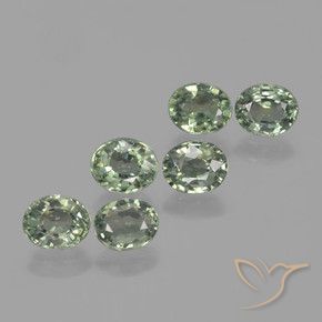 Gemas de Zafiro Verde bosque claro natural de 4.38 ct, Ovalada, VVS-VS