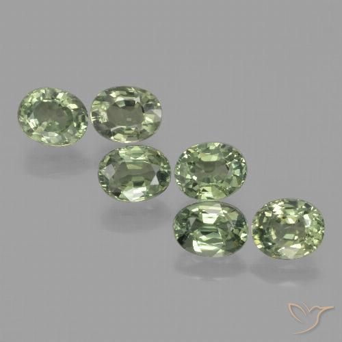 4.91ctw Natural Verde bosque Zafiro, Ovalada, VVS-VS