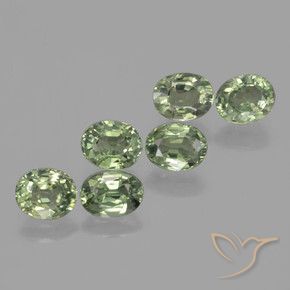 Gemas de Zafiro Verde bosque natural de 4.91 ct, Ovalada, VVS-VS