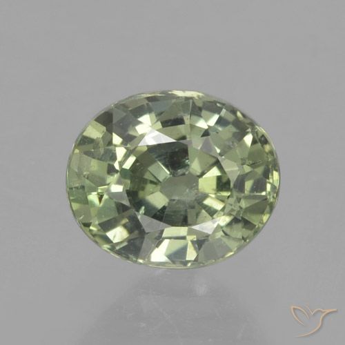 0.91ct Natural Medium Light Green Zafiro, Ovalada, VS