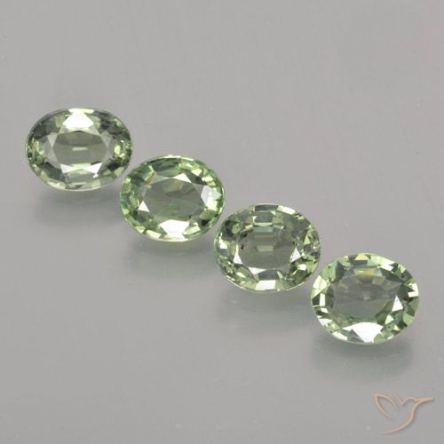 3.37ctw Natural Verde terroso Zafiro, Ovalada, VVS-VS
