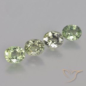 Gemas de Zafiro Verde claro natural de 3.55 ct, Ovalada, VVS-VS