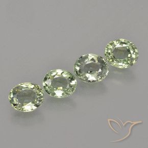 Gemas de Zafiro Verde bosque natural de 3.30 ct, Ovalada, VVS-VS
