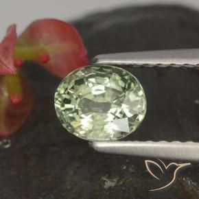 Zafiro Verde claro natural de 0.85 ct, Ovalada, VVS-VS