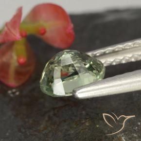 Zafiro Verde claro natural de 0.85 ct, Ovalada, VVS-VS