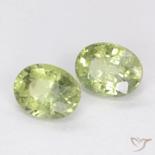 Gemas de Zafiro Verde cálido natural de 0.56 ct, Ovalada, SI