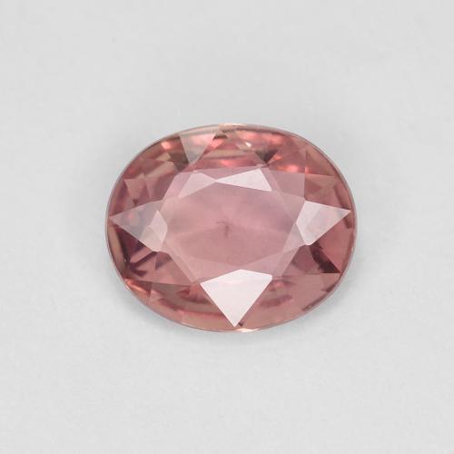 Zafiro Rosado claro natural de 0.60 ct, Corte Óvalo, VS