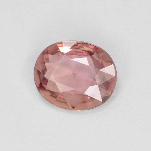 Zafiro Rosado claro natural de 0.60 ct, Corte Óvalo, VS