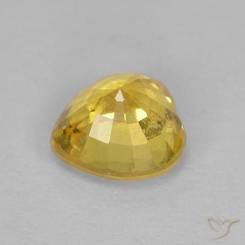 Zafiro Amarillo abejorro natural de 0.56 ct, Corazón, VS