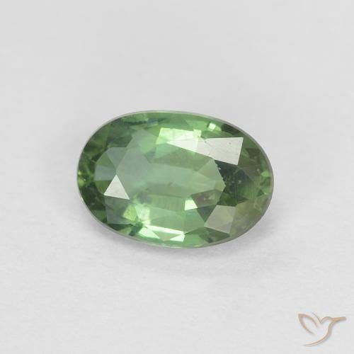 0.53ct Natural Verde bosque Zafiro, Ovalada, VVS-VS