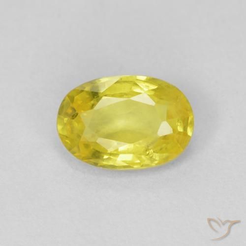 0.50ct Natural Amarillo abejorro Zafiro, Ovalada, VS