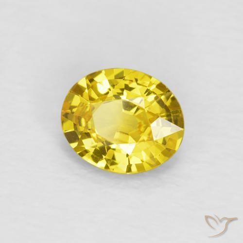 Zafiro Amarillo abejorro natural de 0.64 ct, Ovalada, VVS