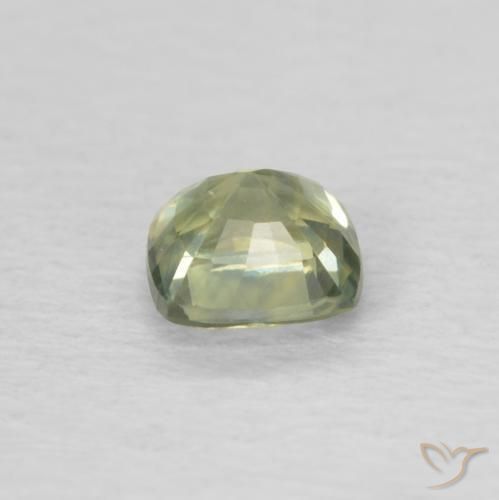 Zafiro Verde amarillento natural de 0.45 ct, Forma Cojín, VVS-VS