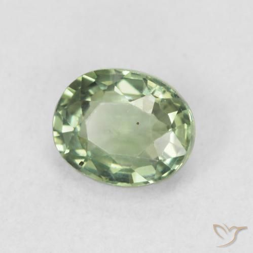 Zafiro Verde claro natural de 0.66 ct, Ovalada, VVS-VS