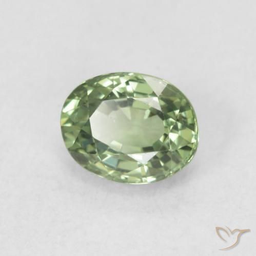 Zafiro Medium Light Green natural de 0.59 ct, Ovalada, VVS-VS