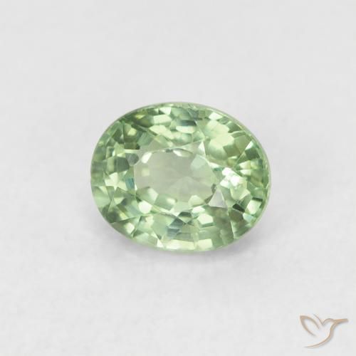 Zafiro Verde bosque claro natural de 0.61 ct, Ovalada, VVS-VS