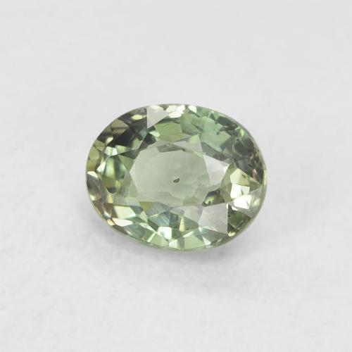 Zafiro Verde claro natural de 0.56 ct, Ovalada, VVS-VS