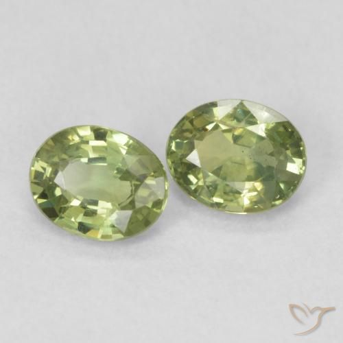 Gemas de Zafiro Verde amarillento natural de 0.77 ct, Ovalada, VS