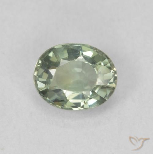 0.56ct Natural Verde bosque Zafiro, Ovalada, VVS-VS
