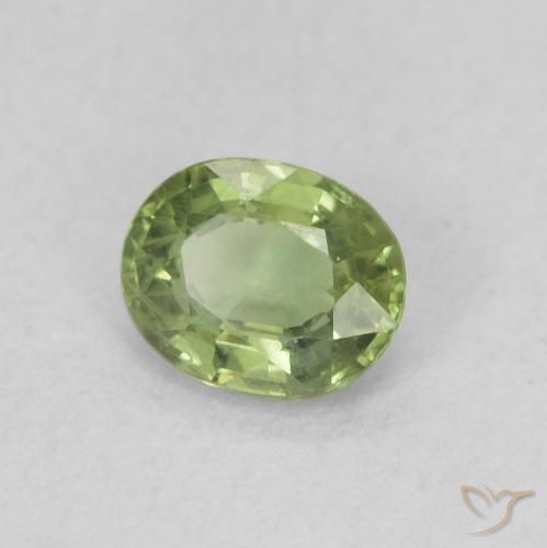 Zafiro Verde cálido natural de 0.45 ct, Ovalada, VVS-VS
