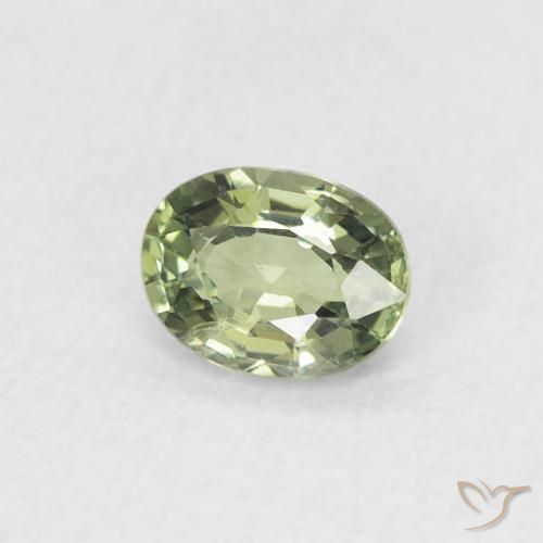 Zafiro Verde grisáceo natural de 0.42 ct, Ovalada, VVS